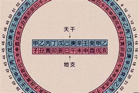 2024 属性|2024年什么命五行属性